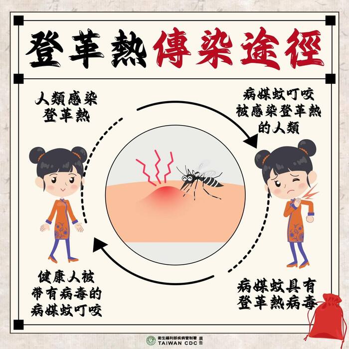 登革熱四妙技海報3