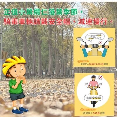 提醒大家騎乘車輛🚲 配戴安全帽⛑️並減速慢行圖片