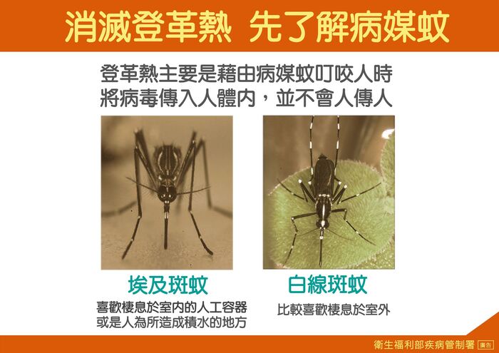 防治登革熱海報1
